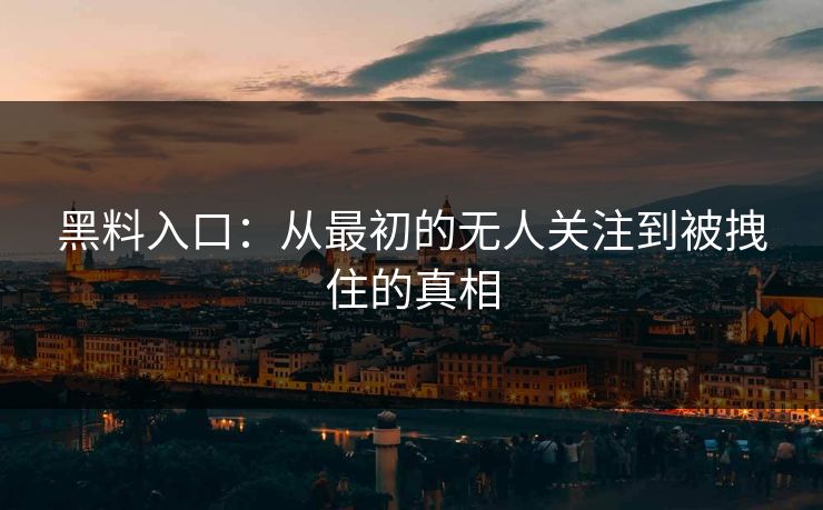 黑料入口：从最初的无人关注到被拽住的真相
