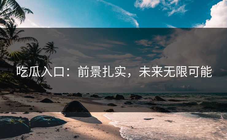 吃瓜入口：前景扎实，未来无限可能
