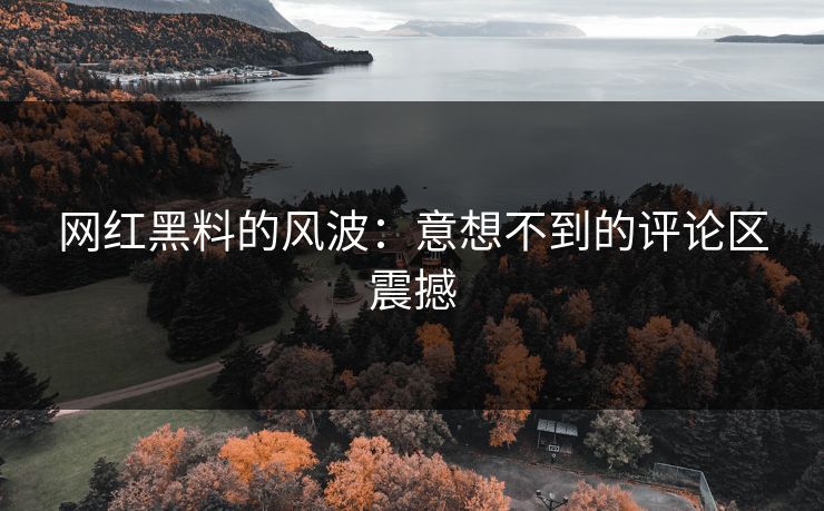 网红黑料的风波：意想不到的评论区震撼