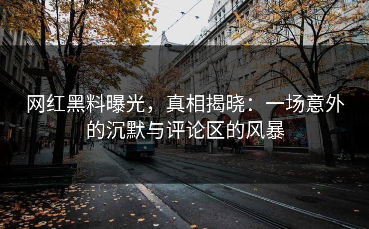 网红黑料曝光，真相揭晓：一场意外的沉默与评论区的风暴
