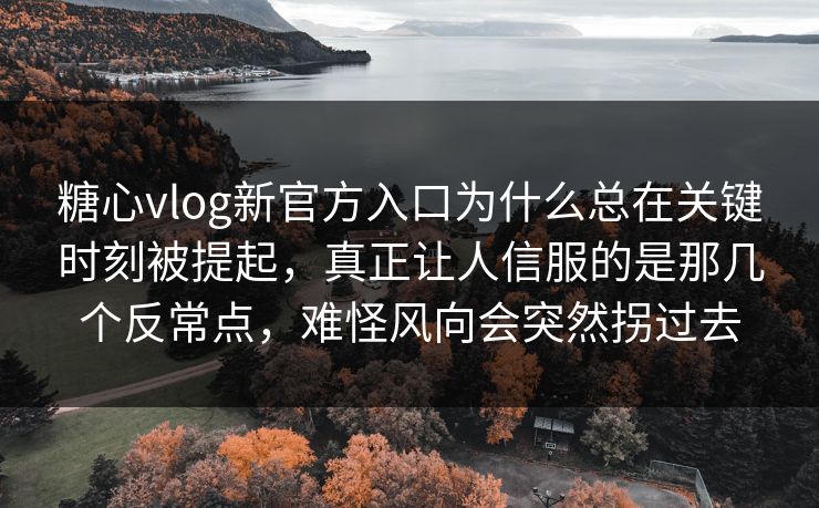 糖心vlog新官方入口为什么总在关键时刻被提起，真正让人信服的是那几个反常点，难怪风向会突然拐过去  第1张