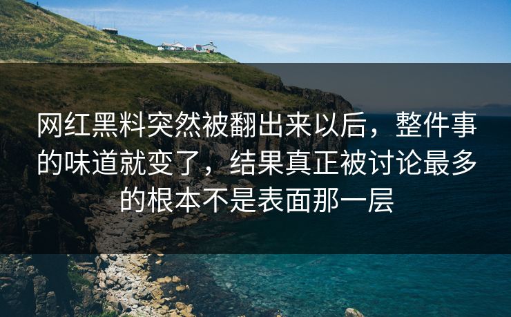 网红黑料突然被翻出来以后，整件事的味道就变了，结果真正被讨论最多的根本不是表面那一层