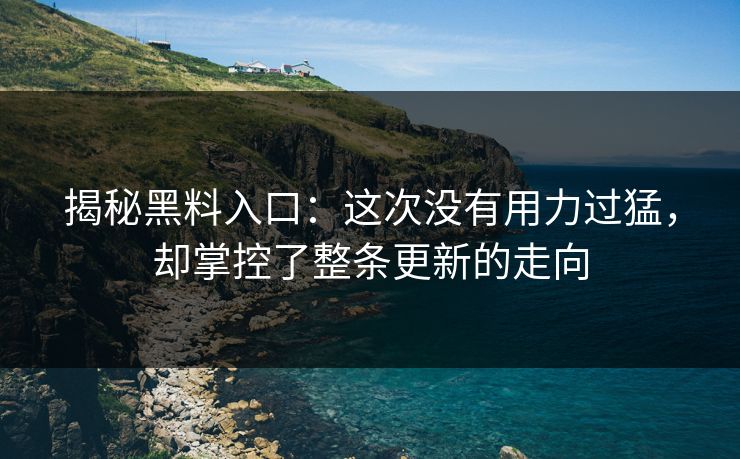 揭秘黑料入口：这次没有用力过猛，却掌控了整条更新的走向