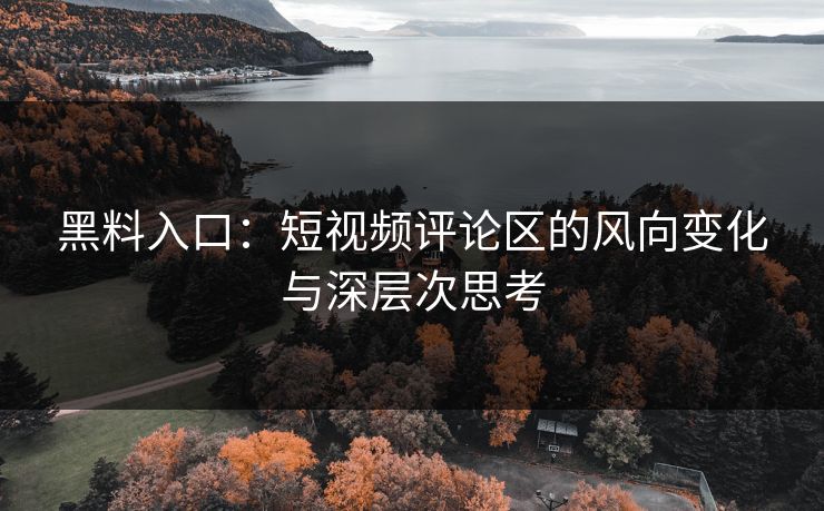 黑料入口：短视频评论区的风向变化与深层次思考