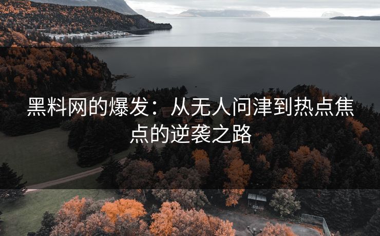 黑料网的爆发：从无人问津到热点焦点的逆袭之路