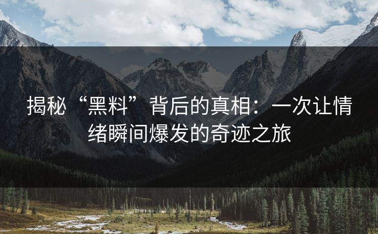 揭秘“黑料”背后的真相：一次让情绪瞬间爆发的奇迹之旅