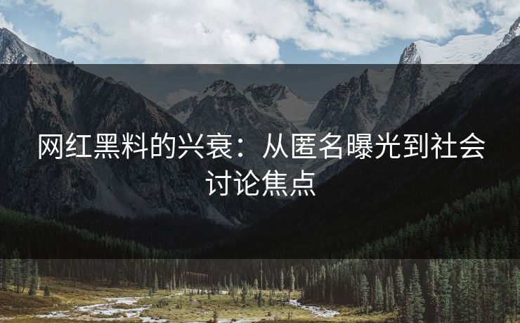网红黑料的兴衰：从匿名曝光到社会讨论焦点  第1张