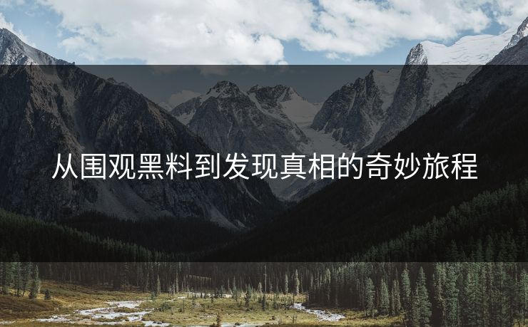从围观黑料到发现真相的奇妙旅程