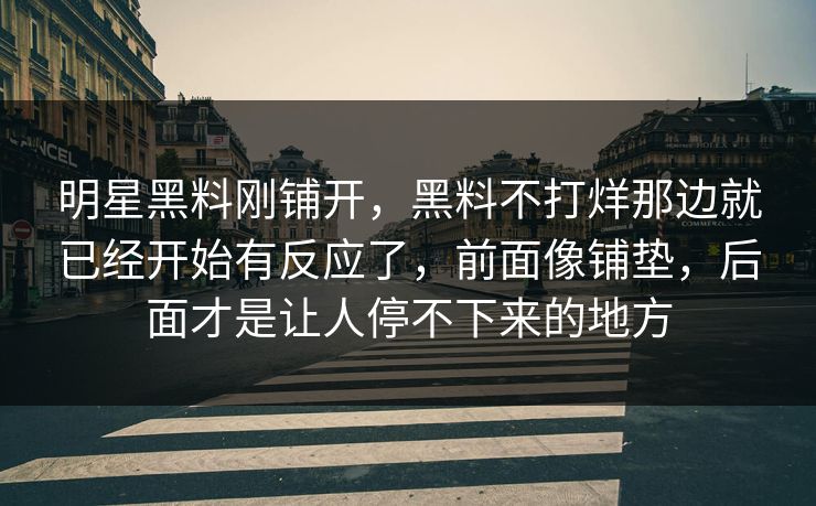 明星黑料刚铺开，黑料不打烊那边就已经开始有反应了，前面像铺垫，后面才是让人停不下来的地方